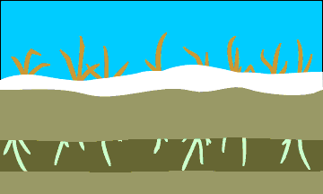 active layer freezing