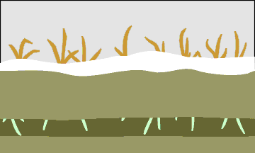 active layer freezing