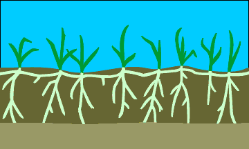 active layer thawing