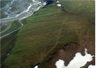 vehicle trails across tundra