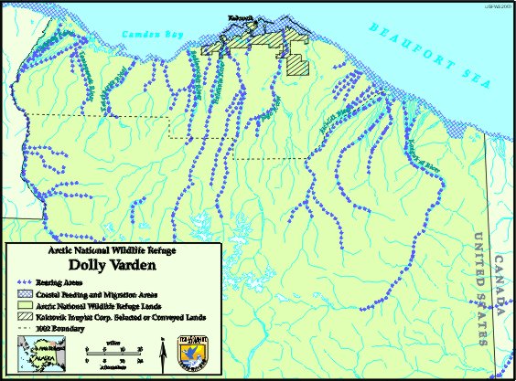 map of dolly varden locations