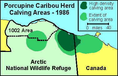 Porcupine Caribou herd calving locations, 1986