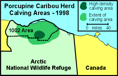 Porcupine Caribou herd calving locations, 1998