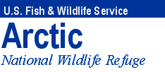 Arctic National Wildlife Refuge