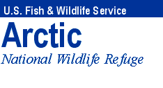 Arctic National Wildlife Refuge