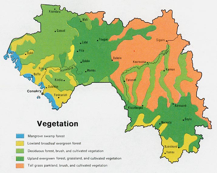 download free guinea maps guatemala population chart